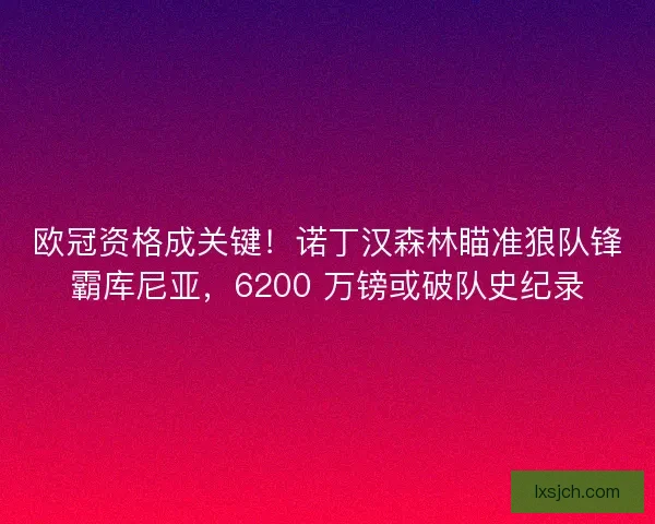 欧冠资格成关键！诺丁汉森林瞄准狼队锋霸库尼亚，6200 万镑或破队史纪录