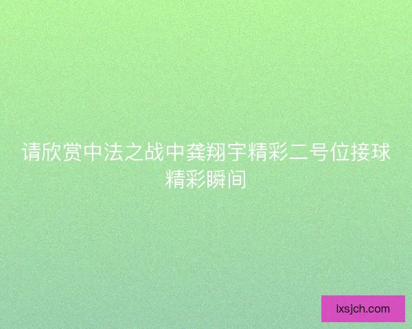 请欣赏中法之战中龚翔宇精彩二号位接球精彩瞬间