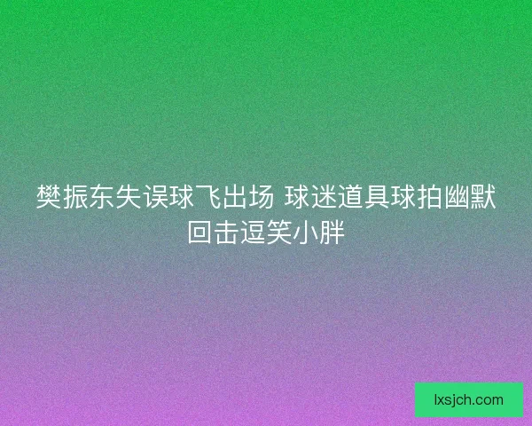 樊振东失误球飞出场 球迷道具球拍幽默回击逗笑小胖